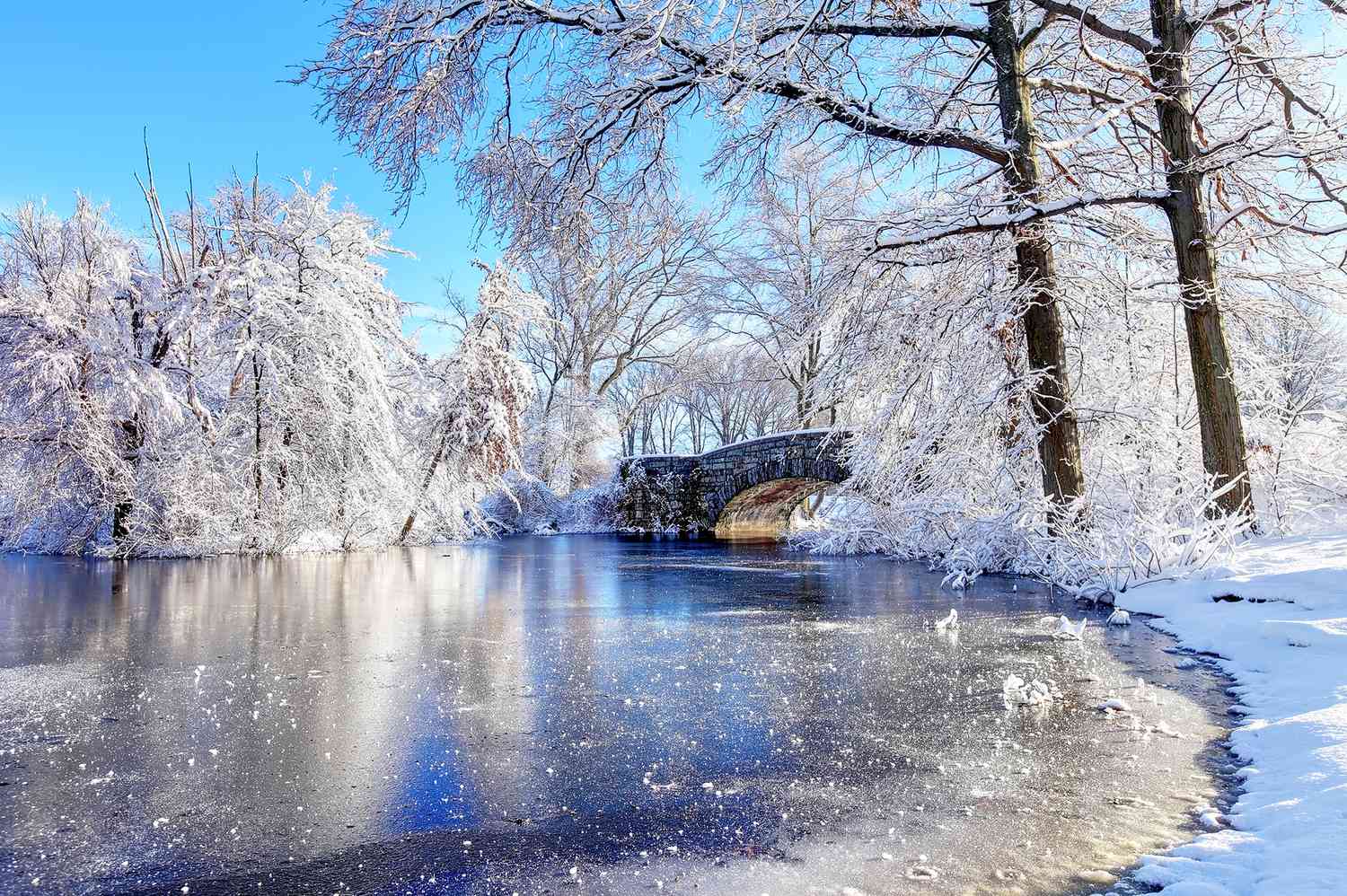 這個美國目的地剛剛因其天際線和白雪皚皚的冬天而被評為世界上最美麗的冬季城市